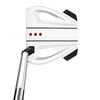 TaylorMade Spider EX Ghost White