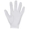 Under Armour Iso-Chill Golf Glove