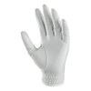 Ping Sport Ladies Glove