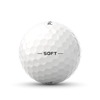 Pinnacle Soft 2024 15-Balls